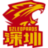 深圳新世纪后备队